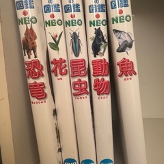 小学館の図鑑NEO5冊　魚　動物　昆虫　花　恐竜の画像