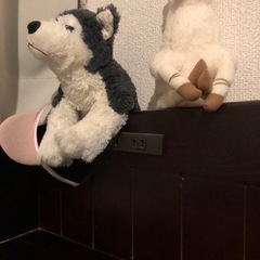 決まりましたの画像