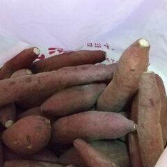 5🍠さつまいもの画像