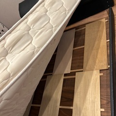 ローベットの画像