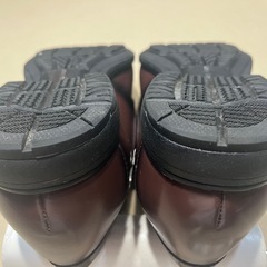 テクシーリュクス TU-7036の画像