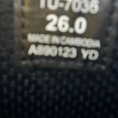 テクシーリュクス TU-7036の画像