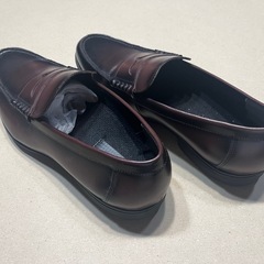 テクシーリュクス TU-7036の画像