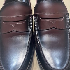 テクシーリュクス TU-7036の画像