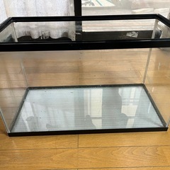 GEXグラススリム450+ライト＋ミクロソリウム（流木付き）＋GEXロータイプ60cm水槽＋上部ろ過装置60cm用＋掃除用ポンプ＋ヒーター＋ミニ扇風機＋ハサミセット
の画像