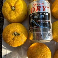 ③柚子２個(無農薬)の画像