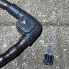 ☆ 無料 スネークロック ☆　　の画像