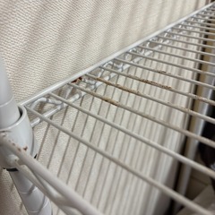 スチールラック メタルラック 白の画像