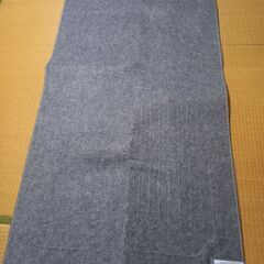 一畳用ホットカーペットの画像
