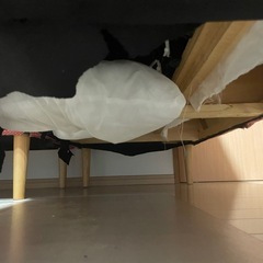 ダイニングテーブル　ソファの画像