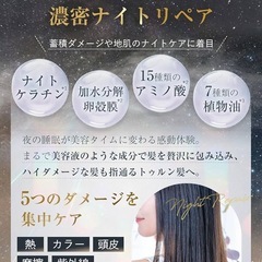 【受付終了】renina レニナ シャンプー トリートメント セット アミノ酸 ナイトケアの画像