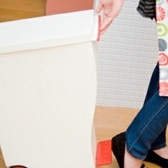 岩谷マテリアル ゴミ箱 kcud mini クード ミニ  日本製の画像