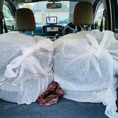 クリーンダイハツ ミラ イースの画像