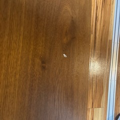 無料　テーブルの画像