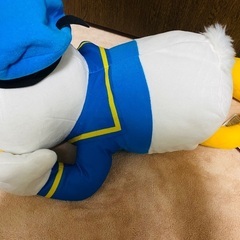 (受け渡し予定者決定☆)未使用タグ付き ほおづえBIGぬいぐるみ ドナルドの画像