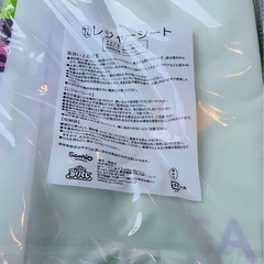 新品未使用👑サンリオ シナモロール ㉒レジャーシートの画像