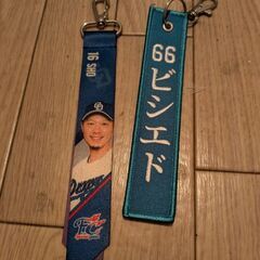 【非売品､廃盤品】中日ドラゴンズ グッズまとめ ビシエド 岩嵜翔 福永裕基 梅津晃大 根尾昂 松木平優太 キーホルダーなどの画像