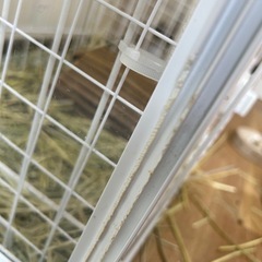 爬虫類ゲージパンテオンの画像