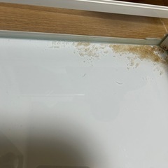 爬虫類ゲージパンテオンの画像