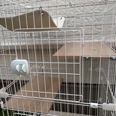 キャットゲージの画像