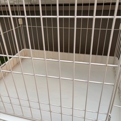 キャットゲージの画像