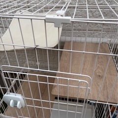 キャットゲージの画像