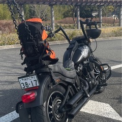 シーシーバワンオフの画像