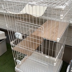 キャットゲージの画像