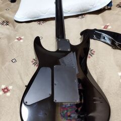 価格交渉可能です。fernandesのfr-55を売ります。別に同価格帯のエレキギターと物々交換も可能です。の画像