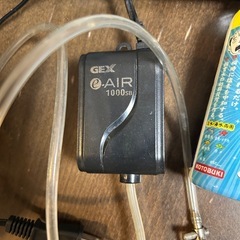 メダカ飼育セットの画像