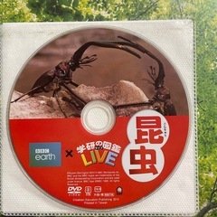 学研の図鑑Live 昆虫の画像