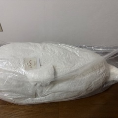 未開封⭐︎特大ごまちゃんの画像