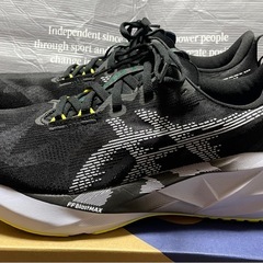 ノヴァブラスト5 26.5cmの画像