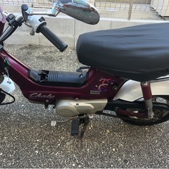 シャリー50の画像