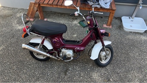 シャリー50