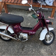 シャリー50の画像