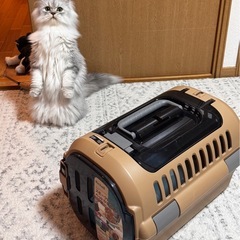 ペットキャリーの画像