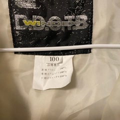 スノーウェア（100）の画像