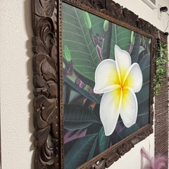 プルメリア　バリアートの画像