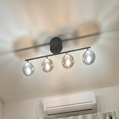 シーリングライト スポットライト LED対応 球体 クリア おしゃれ 一人暮らし ライト 天井照明 和室 北欧 寝室 リビング 居間 ダイニング 食卓 シーリング 電気の画像