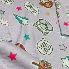 パウパトロール　スカイ＆エベレストパジャマの画像