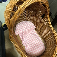 以前、パンパンチュチュ で購入した人形用ベビーカーの画像