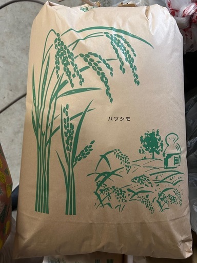 2025年　新米　岐阜県産　ハツシモ　30kg