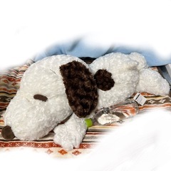 新品未使用　ぬいぐるみ　まとめの画像