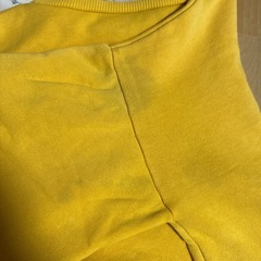 トレーナーの画像