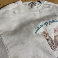 トレーナーの画像