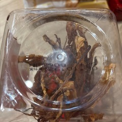 するめ足 1箱！の画像