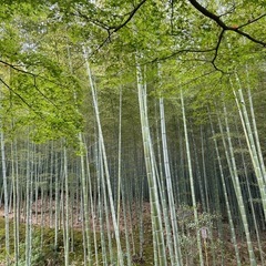 家電　フィギュア　ガラクタ　スロット機　庭石　よく分からな…