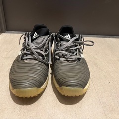 adidas ゴルフシューズ　26.0cmの画像