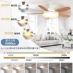 シーリングファンライト LED ファン付き照明 シーリングファン E26 扇風機 44W 5000lm 天井ライト 照明器具 省エネ 正逆回転切り替え 無階段調光調色 3階段風量調整 DCモーター タイマー機能の画像